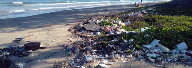 In fondo alla Fossa delle Marianne è stata trovata della plastica